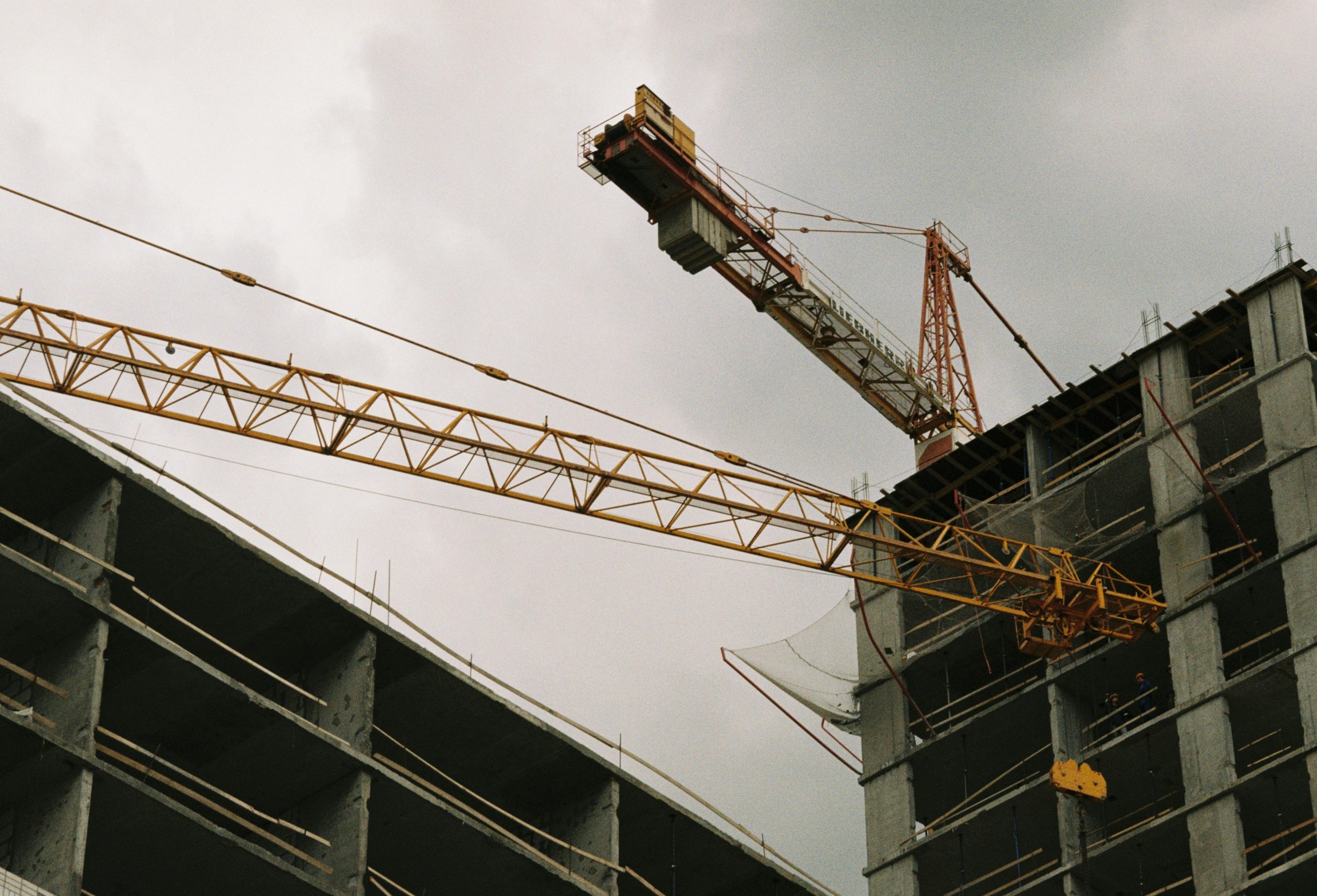 pexels-rescriptt-rescriptt-101153900-18162493